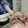 Jun