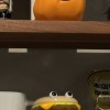Y