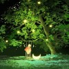 落雨无声
