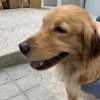 阿天10