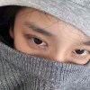 鼠