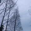 峻曦