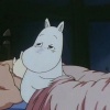 月下樱花檐下猫