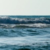 blue cup 811