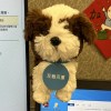 沒什麼事