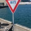 劉子毓