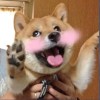 steven360steven360