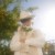 still_sun_53p