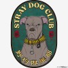 野狗俱樂部 Stray Dog Club