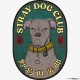 野狗俱樂部 Stray Dog Club