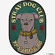 野狗俱樂部 Stray Dog Club