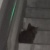 青城乐队