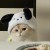 Yu_ting