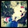 strolling
