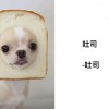 QQ