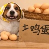 墟里