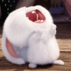 Sugar._.