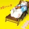 Sugar Guitar