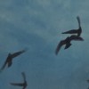 破吉他_1013