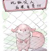 九州稳的一批