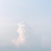 summer_sweetbeans