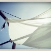 summereverywhere