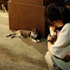 SUN CHIU