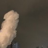 踽踽