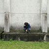 darow.c