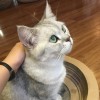 决楚大魔王。