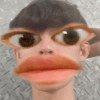 Jnovice._06