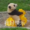 swag顏
