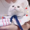 周荡