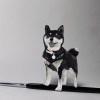 SWHSU