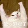 syxxxxx