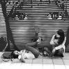 林樂園