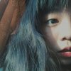lin__