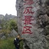 被伤的人还可以爱谁