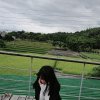 te.y_0831