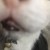 Sn