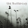the Buttercup 樂團