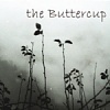 the Buttercup 樂團