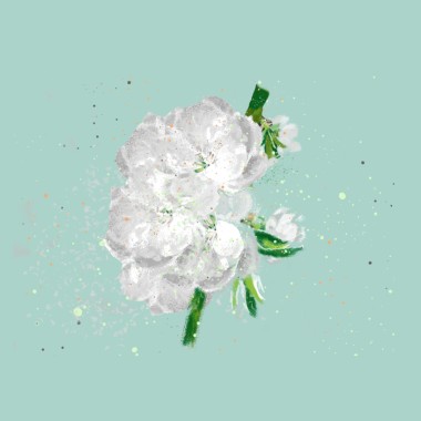 家鄉