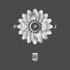 瞳乐队 The pupil