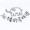顶楼的马戏团