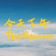 今天下午This Afternoon