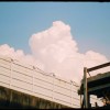 thomas_wang