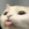 wuh_12
