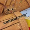 阿卡撒儿