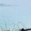 陳湘婷